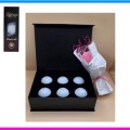 Ÿ��Ʋ����Ʈ pro v1 6����Ʈ (3pc) ��ٸ����̽� ����